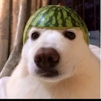Hydra_10's Avatar'
