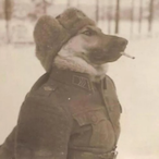 HAMMER.-_-.'s Avatar'