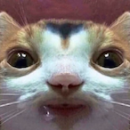 mrsnatchyobihh's Avatar'