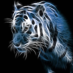 McKBoys18's Avatar'