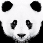 PandaManden's Avatar'