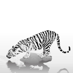 Roamer_707's Avatar'