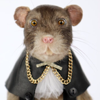 RATonthefloor's Avatar'