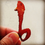 Giant.Glizzy's Avatar'