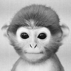 McSwabbie's Avatar'