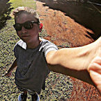 Louredinho's Avatar'