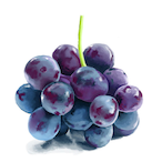 chaoticgrape.'s Avatar'