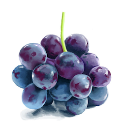 chaoticgrape.