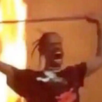 Sensei_Panda's Avatar'