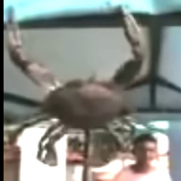 Odaruj