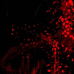 Koltron556's Avatar'