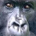 jalon399's Avatar'