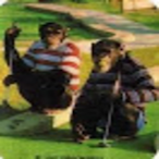 golfml's Avatar'