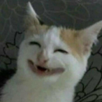 mirin-'s Avatar'