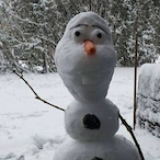 Northern.-'s Avatar'