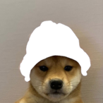 Harrisonscaked's Avatar'