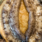 johnwickzeizei's Avatar'