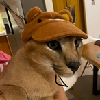 LelandsBot's Avatar'