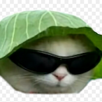 lafeyboi's Avatar'