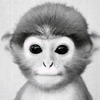 Jake9731's Avatar'
