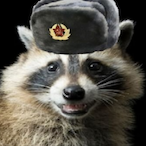 Slavic_Raccoon's Avatar'
