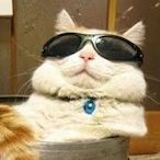CinquentaX's Avatar'