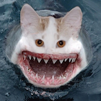 FINERYX's Avatar'