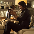 Mr.Wick_OVO's Avatar'