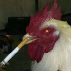 quitrunnhn's Avatar'