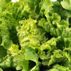 Motriks.BB's Avatar'