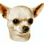 pananiel's Avatar'