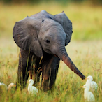 Nicky.Loading's Avatar'