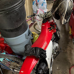 chimpanzeej's Avatar'