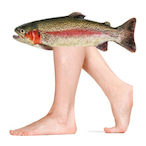 SalmonFeet's Avatar'