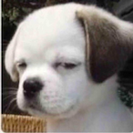 Mlegebider's Avatar'