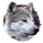 BoogeymanWalker's Avatar'