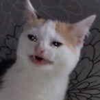 UterusHorder.-'s Avatar'