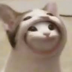Sikka_'s Avatar'