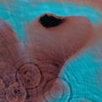 triadic_shower2's Avatar'