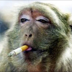 GabryAlvess's Avatar'