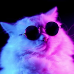 fainbine's Avatar'