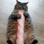 Bicus_de_Dicus.'s Avatar'