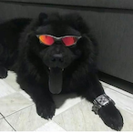 QUADZERAAAAAAAA-'s Avatar'