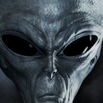 Area51Survivor's Avatar'