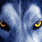 omegalonewolf's Avatar'