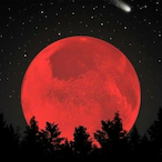 Itz_Assassin23's Avatar'