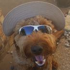 vWizaardJr's Avatar'