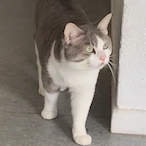 rhollrrOnTikTok's Avatar'