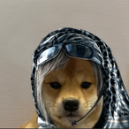 teIavivresident's Avatar'