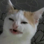 MusicalFlute's Avatar'